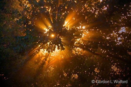 Sunrise Sunrays_06106.jpg - Photographed near Lindsay, Ontario, Canada.